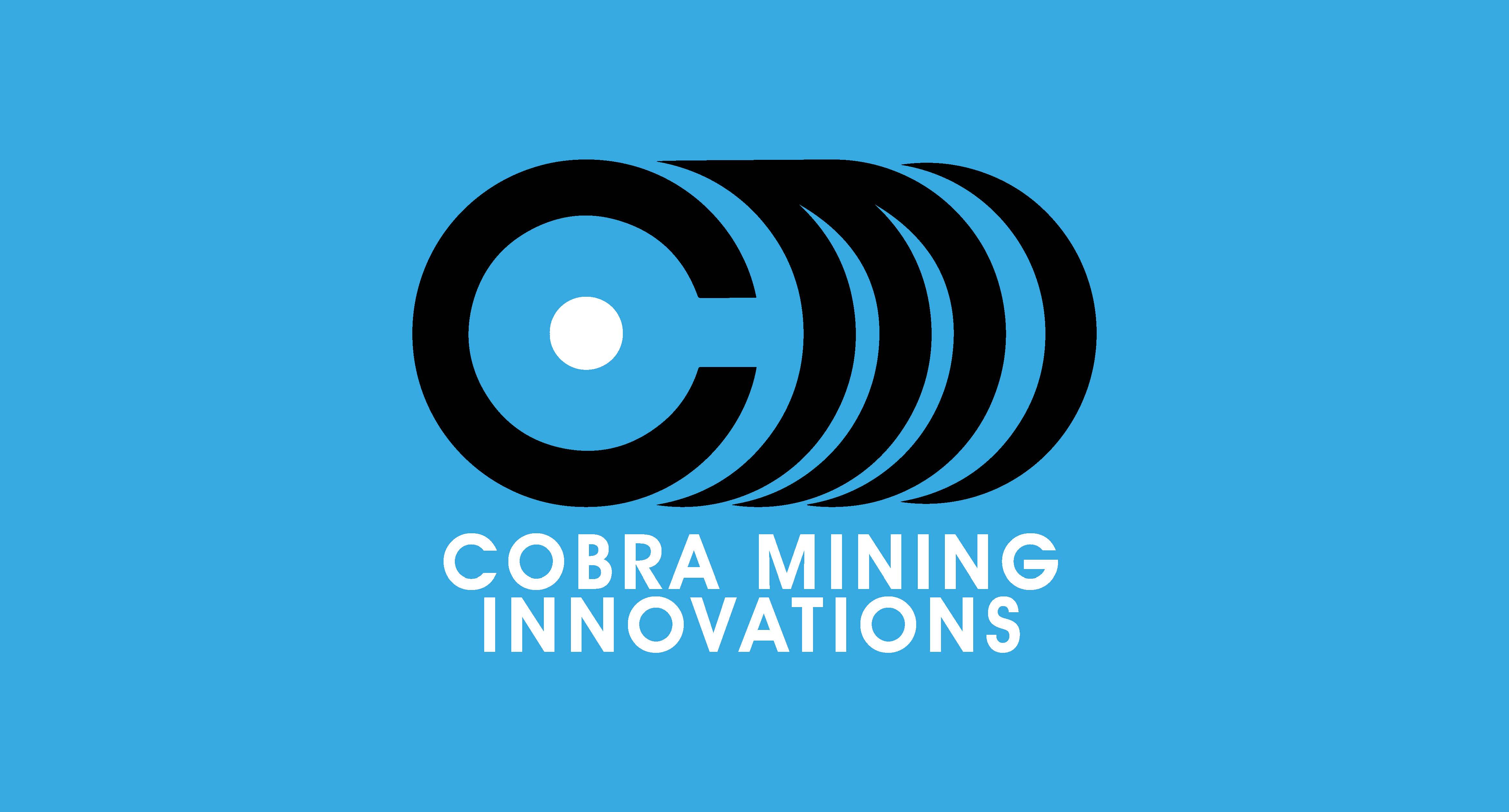 CMI Logo_Page_2